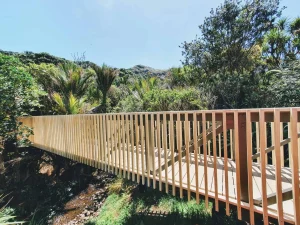 Piha Footbridge with hills in th distance