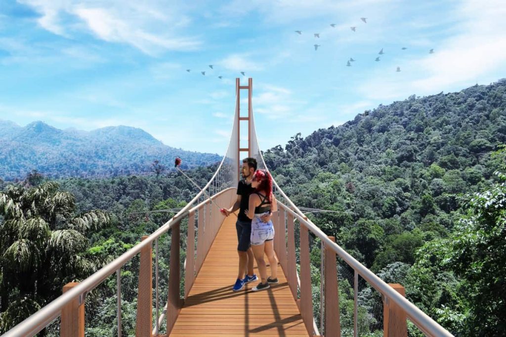 Pukeiti bridge with a couple taking a selfie