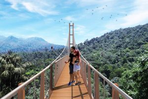 Pukeiti bridge with a couple taking a selfie
