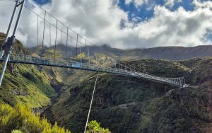 Manganui Gorge Suspension bridge with clouds