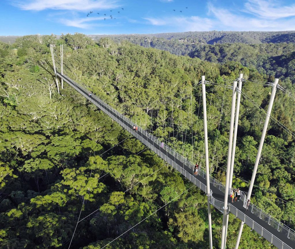 Hornsby Cable Bridge above the forest